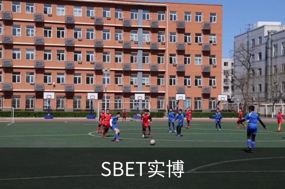 了解SBET实博